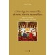 «Ici voi ge les merveilles de totes autres merveilles». Aspetti del cronotopo nella Queste del Saint Graal